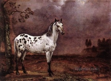 amc0019D1 動物の馬 Oil Paintings